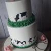 cow painted cake